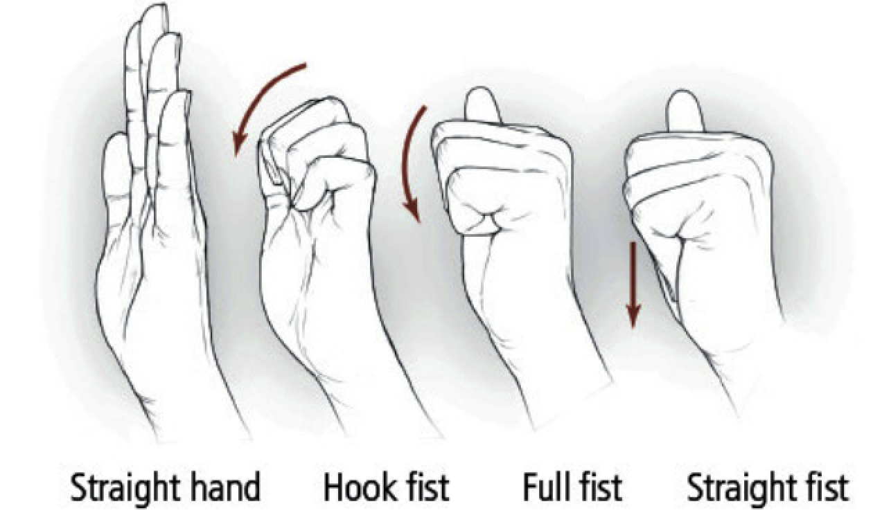 Four hand positions for tendon gliding: straight hand, hook fist, full fist, and straight fist